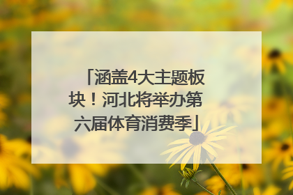 涵盖4大主题板块！河北将举办第六届体育消费季