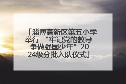 淄博高新区第五小学举行 “牢记党的教导 争做强国少年”2024级分批入队仪式