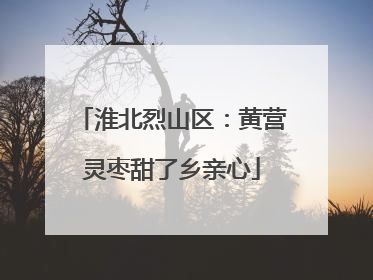 淮北烈山区：黄营灵枣甜了乡亲心