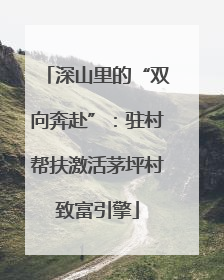 深山里的“双向奔赴”：驻村帮扶激活茅坪村致富引擎