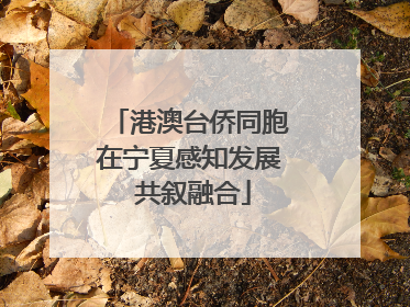 港澳台侨同胞在宁夏感知发展 共叙融合