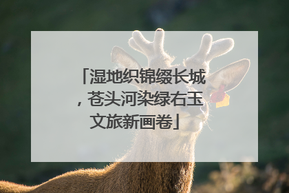 湿地织锦缀长城，苍头河染绿右玉文旅新画卷