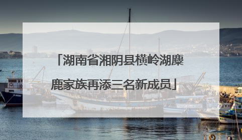 湖南省湘阴县横岭湖麋鹿家族再添三名新成员