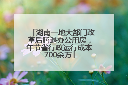 湖南一地大部门改革后腾退办公用房，年节省行政运行成本700余万