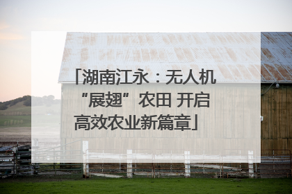 湖南江永：无人机“展翅”农田 开启高效农业新篇章