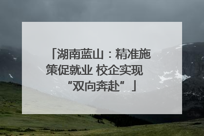 湖南蓝山：精准施策促就业 校企实现“双向奔赴”