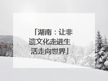 湖南：让非遗文化走进生活走向世界