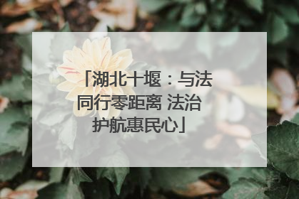 湖北十堰：与法同行零距离 法治护航惠民心