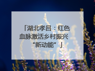 湖北孝昌：红色血脉激活乡村振兴“新动能”
