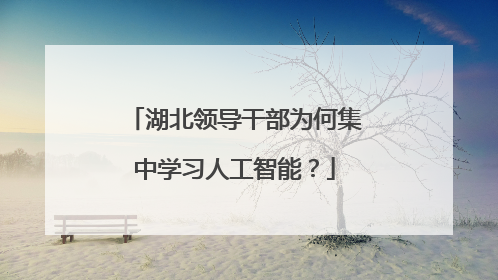 湖北领导干部为何集中学习人工智能？