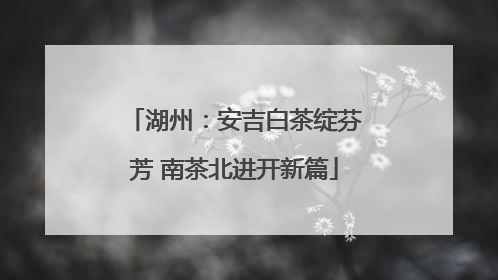 湖州：安吉白茶绽芬芳 南茶北进开新篇