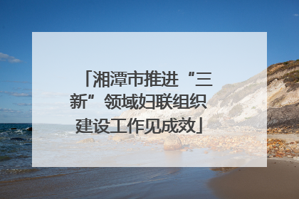 湘潭市推进“三新”领域妇联组织建设工作见成效