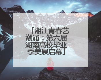 湘江青春艺潮涌：第六届湖南高校毕业季美展启幕