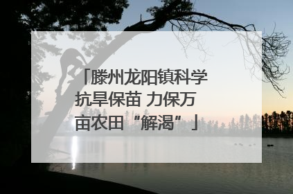 滕州龙阳镇科学抗旱保苗 力保万亩农田“解渴”