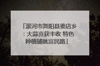 漯河市舞阳县姜店乡：大蒜喜获丰收 特色种植铺就富民路