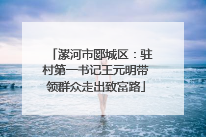 漯河市郾城区：驻村第一书记王元明带领群众走出致富路