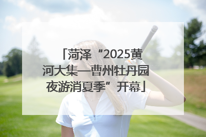 菏泽“2025黄河大集—曹州牡丹园夜游消夏季”开幕