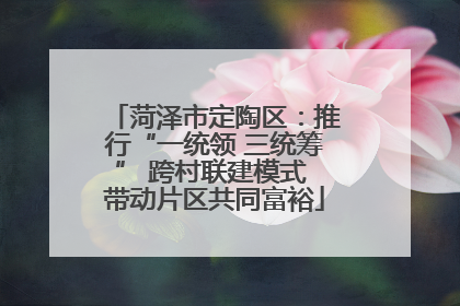 菏泽市定陶区：推行“一统领 三统筹” 跨村联建模式 带动片区共同富裕