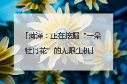 菏泽：正在挖掘“一朵牡丹花”的无限生机