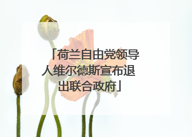 荷兰自由党领导人维尔德斯宣布退出联合政府