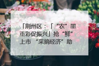 荆州区：「“农”墨重彩促振兴」抢“鲜”上市 “采摘经济”助农“甜蜜增收”
