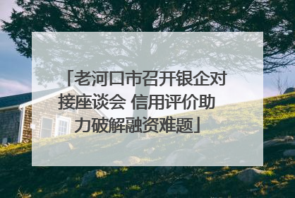 老河口市召开银企对接座谈会 信用评价助力破解融资难题