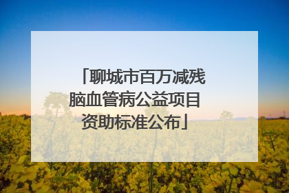 聊城市百万减残脑血管病公益项目资助标准公布