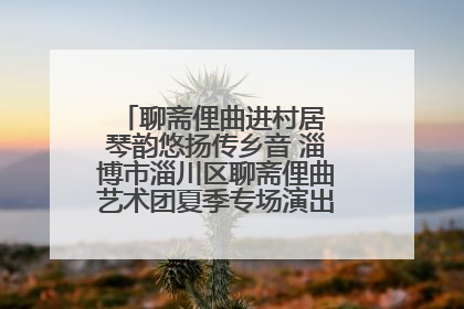 聊斋俚曲进村居 琴韵悠扬传乡音 淄博市淄川区聊斋俚曲艺术团夏季专场演出在杏园子村举行