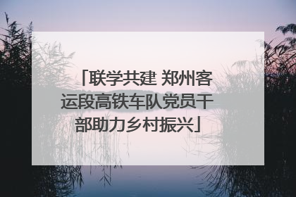 联学共建 郑州客运段高铁车队党员干部助力乡村振兴