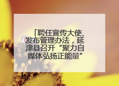 聘任宣传大使、发布管理办法，延津县召开“聚力自媒体弘扬正能量”联席会