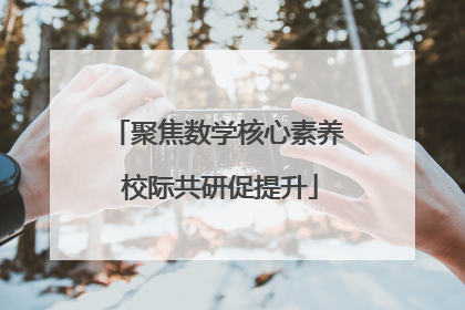 聚焦数学核心素养 校际共研促提升