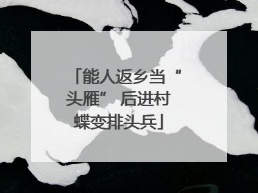 能人返乡当“头雁” 后进村蝶变排头兵