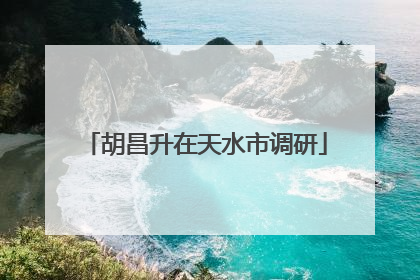 胡昌升在天水市调研