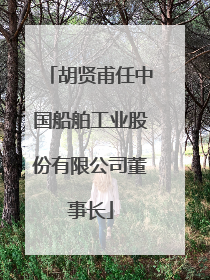 胡贤甫任中国船舶工业股份有限公司董事长