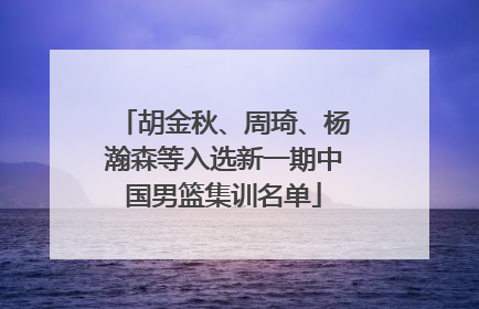 胡金秋、周琦、杨瀚森等入选新一期中国男篮集训名单