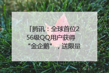 腾讯：全球首位256级QQ用户获得“金企鹅”，送限量版神秘惊喜等礼物
