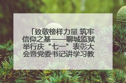 致敬榜样力量 筑牢信仰之基——聊城监狱举行庆“七一”表彰大会暨党委书记讲学习教育专题党课