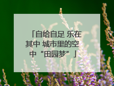 自给自足 乐在其中 城市里的空中“田园梦”