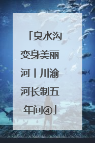 臭水沟变身美丽河丨川渝河长制五年间④