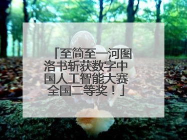 至简至一河图洛书斩获数字中国人工智能大赛全国二等奖！