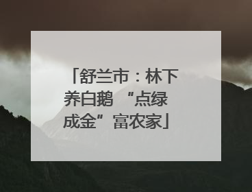 舒兰市：林下养白鹅 “点绿成金”富农家