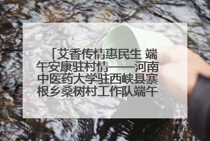 艾香传情惠民生 端午安康驻村情——河南中医药大学驻西峡县寨根乡桑树村工作队端午中医惠民记