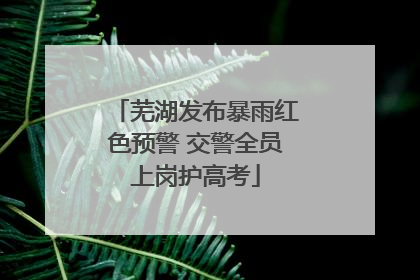 芜湖发布暴雨红色预警 交警全员上岗护高考