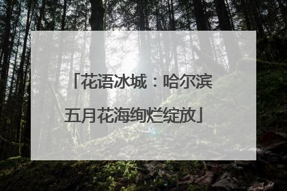 花语冰城：哈尔滨五月花海绚烂绽放