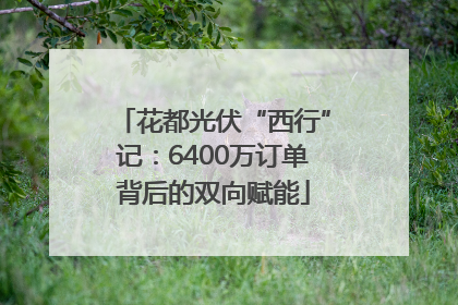 花都光伏“西行”记：6400万订单背后的双向赋能