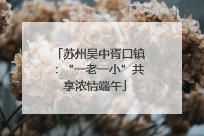 苏州吴中胥口镇：“一老一小”共享浓情端午