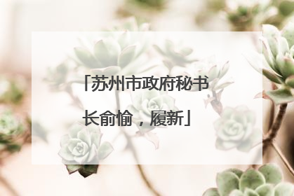 苏州市政府秘书长俞愉，履新