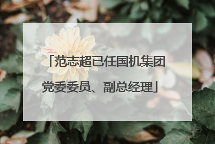 范志超已任国机集团党委委员、副总经理