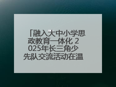 融入大中小学思政教育一体化 2025年长三角少先队交流活动在温岭举办