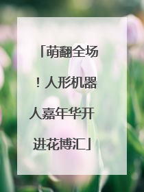 萌翻全场！人形机器人嘉年华开进花博汇